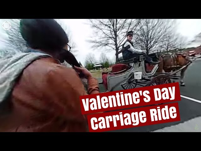 Valentine's Day Horse Carriage Ride | Samsung 360