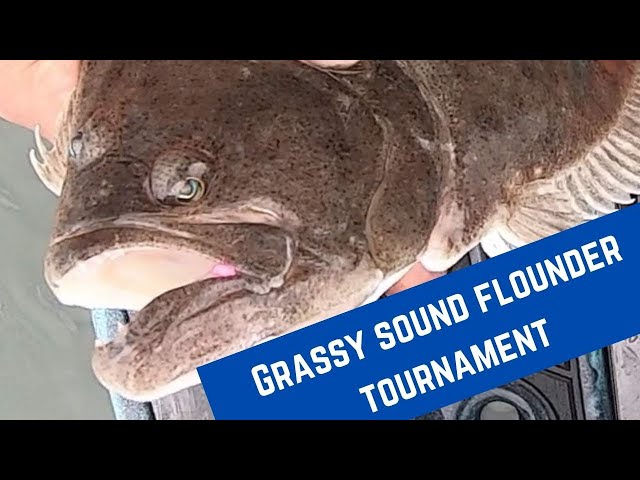 Targeting NJ Flounder - Grassy Sound Tournament Fluke Fishing