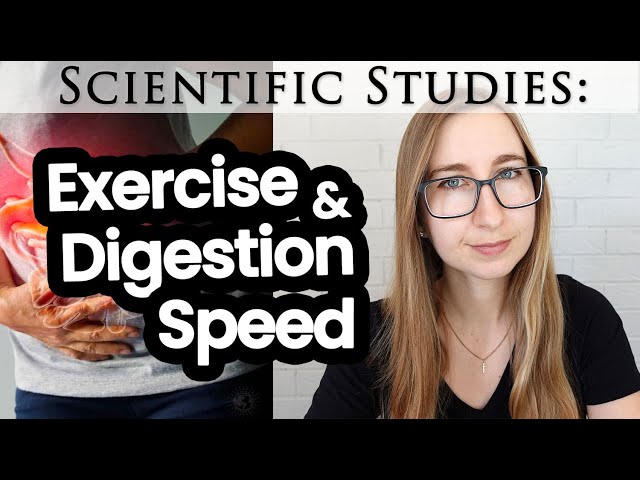 How Exercise Affects Your Digestion Speed: Walking vs Running/Cycling