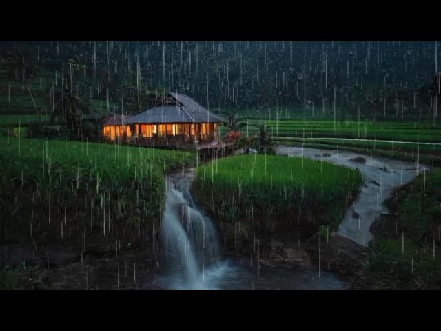 Rain sounds for sleep 100% fall asleep instantly to rain and thunder sounds at night