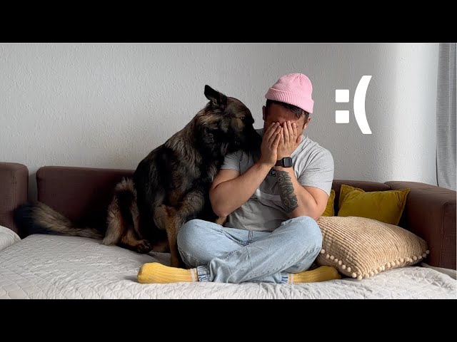 German Shepherd's Emotional Reaction to My Crying 😢- Unbelievable!