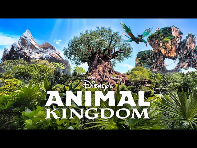 A Day at Disney's Animal Kingdom 🌳✨ All Rides & Experiences