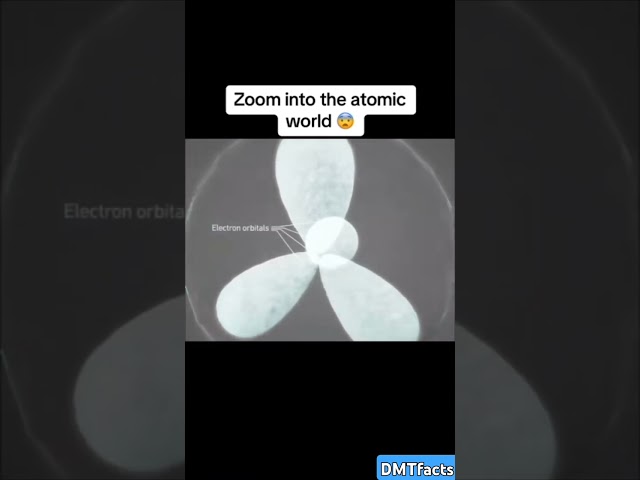 zoom in human hair😱😱 #shorts #zoom #microscope #facts #viral #zoomatomic