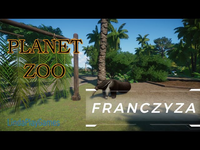 Rezerwat Oaza odc.27 Kolejne zwierzęta w ZOO - mrówkojad i binturong / Planet ZOO Franczyza