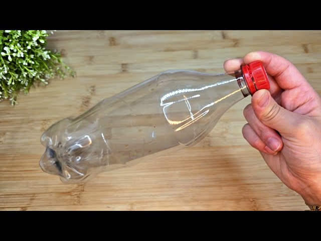 Mosquito Trap ! Trick to Eliminate Mosquitoes with a Plastic Bottle