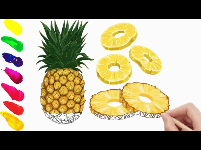 Pineapple Fruit C0l0ring, Drawing, Painting f0r Kids and T0ddlers | Super Art Studium | Coolay