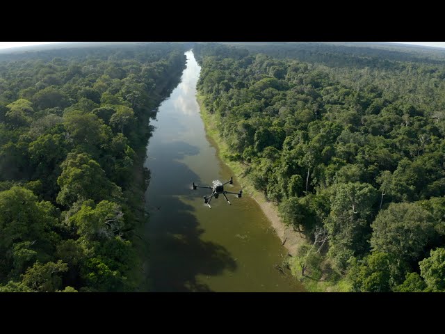 Rolex and National Geographic Perpetual Planet Amazon Expedition: In the Flooded Forest