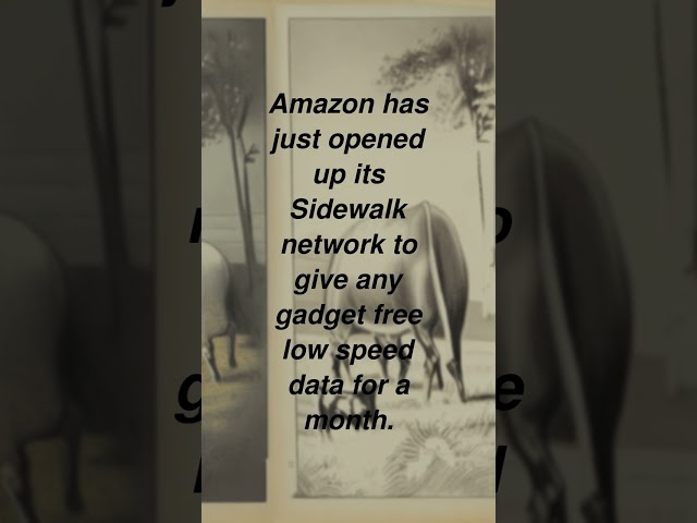 Amazon has just opened up its Sidewalk network to give any gadget free low speed data for a month.
