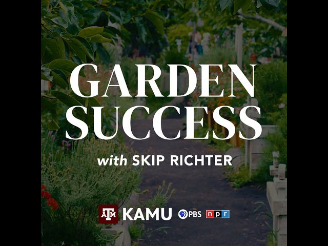 Garden Success – 5/23/2024: Q&A With Skip Richter