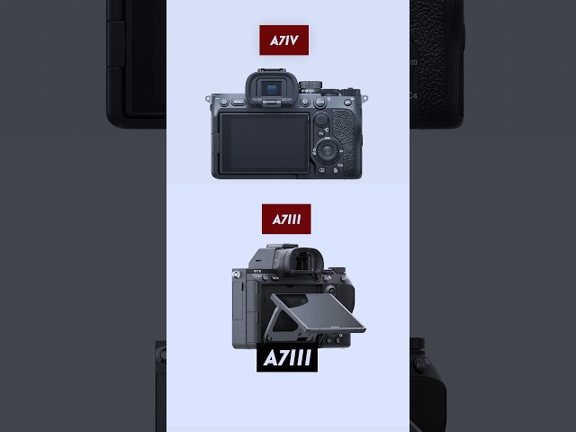 Sony A7III or A7IV? 🤔