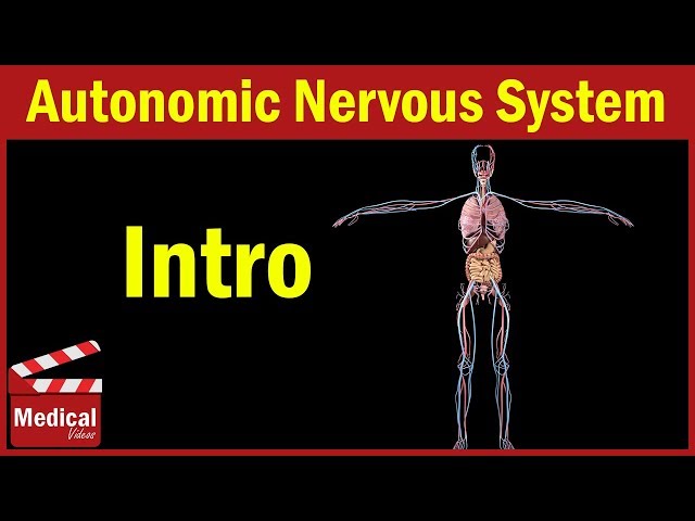 Pharmacology [ANS] 1- Introduction to Autonomic Nervous System ( Pharmacology MADE EASY )