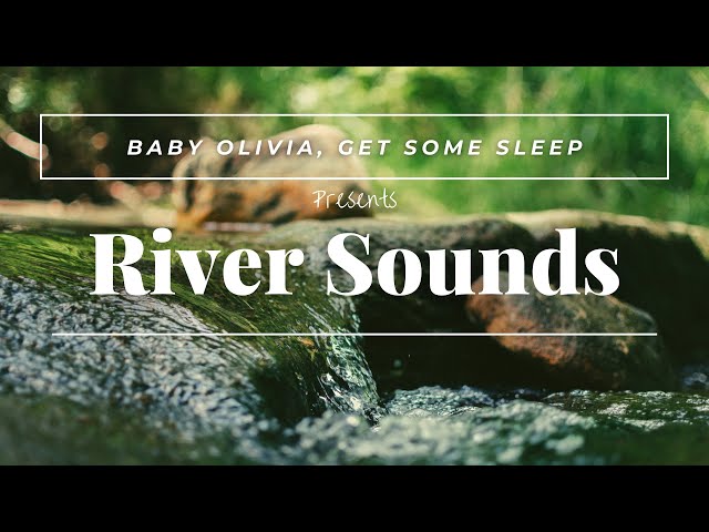 River Sounds and Nature Sounds At Brazilian Forest | How To Sleep Better | Nature Sounds