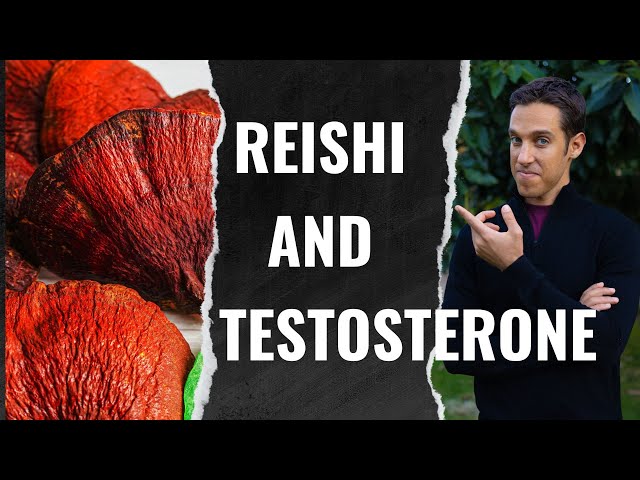 Does Reishi Mushroom Increase or Decrease Testosterone?