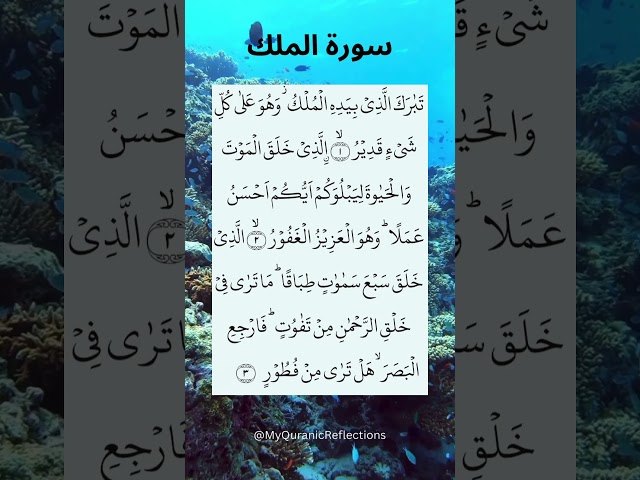 | SURAH AL-MULK | Beautiful Quran Recitation ❤️ #quran #surah #islam #shorts #beautiful #surahmulk
