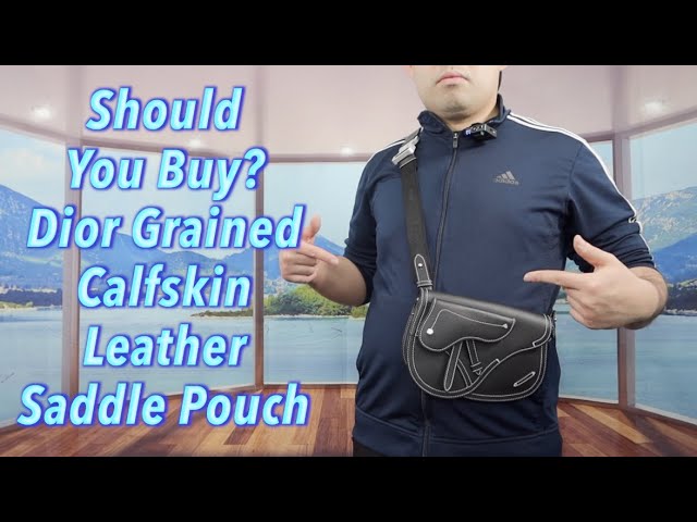 Should You Buy? Dior Grained Calfskin Leather Saddle Bag