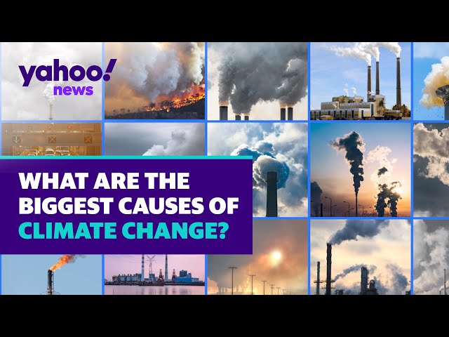 What are the biggest contributors to climate change?