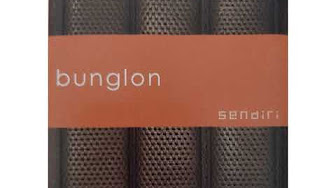 Bunglon, Album Sendiri (2004)