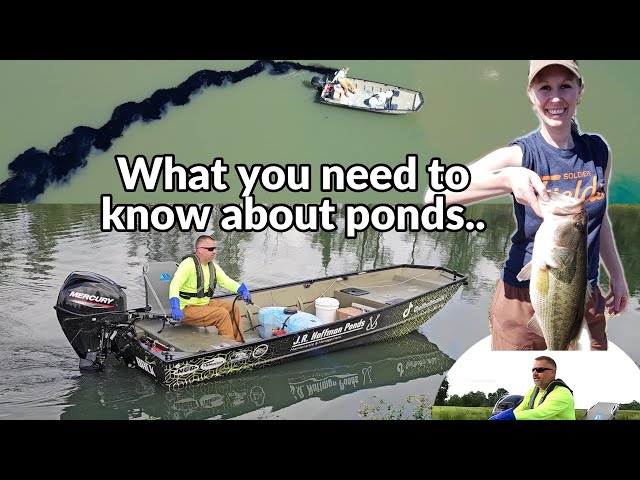 EVERYTHING Pond treatments-A complete guide! Growing big bass and pond maintenance!