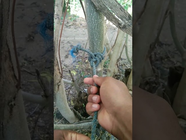 Very useful knot | simple but works #knot #camping #bushcraft #survival #shorts