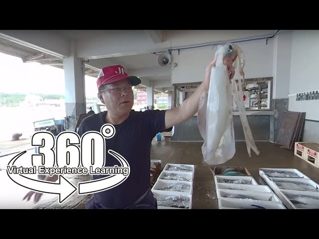 【3D-360°】種子島漁業協同組合せり市場 ｜ 西之表市　漁業