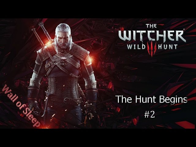 PC Master Race | The Witcher 3 | The Hunt Begins #2