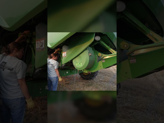 Dropping Straw #customharvest #grainharvest #entertainment #farm #americanharvest #agriculture #hay