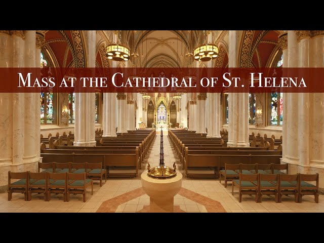 Wednesday 6/26 Noon Daily Mass at the Cathedral of St. Helena