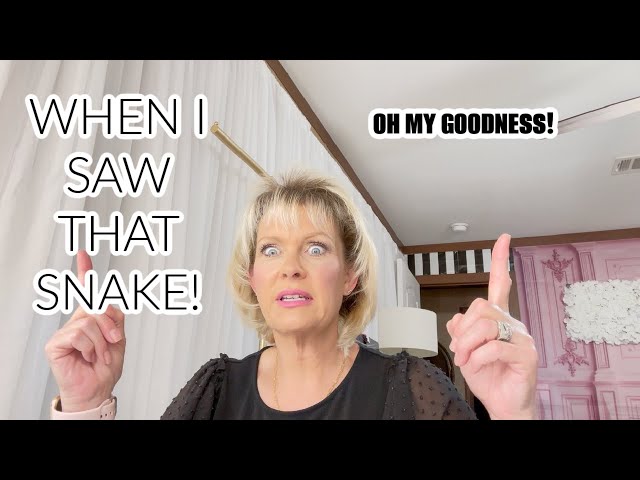 DAILY VLOG + WHEN I SAW THAT SNAKE + THE SH*T SHOW BEGINS