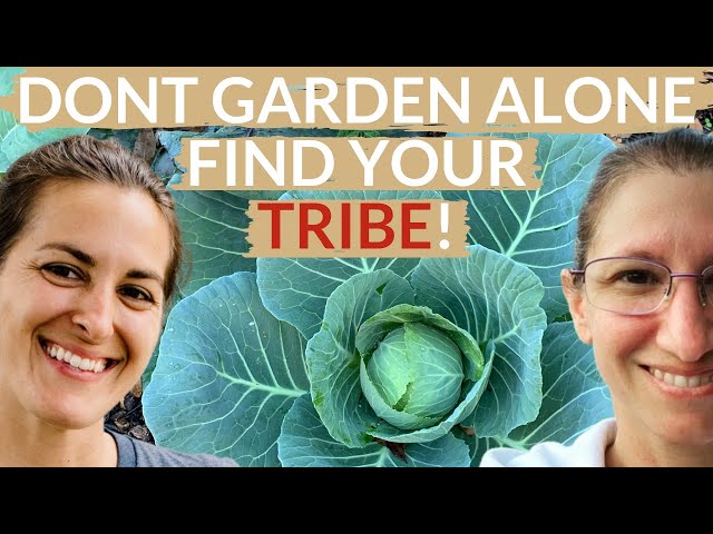 9 Places To Learn Gardening & Make Social Connections