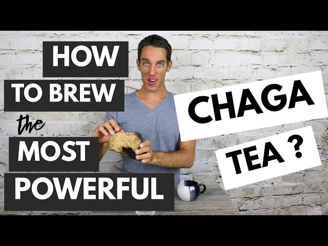 CHAGA MUSHROOM BENEFITS & HOW TO MAKE CHAGA TEA (EASY RECIPE)