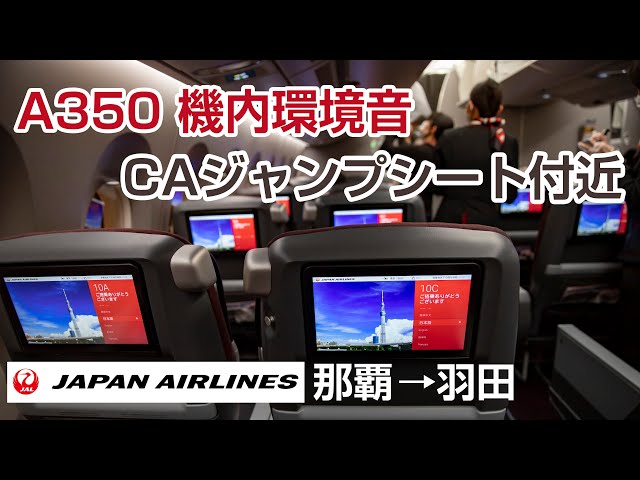 【最高音質】JAL A350機内環境音 CA L2ドアシート付近 星空 大晦日フライト #飛行機に乗っている気分になれる動画 #19 JL920 A350-941 (JA10XJ) Seat:11A