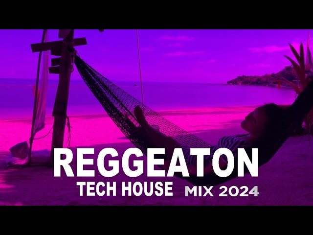 Reggaeton Tech House mix 2024, Reggaeton Techno, Techengue
