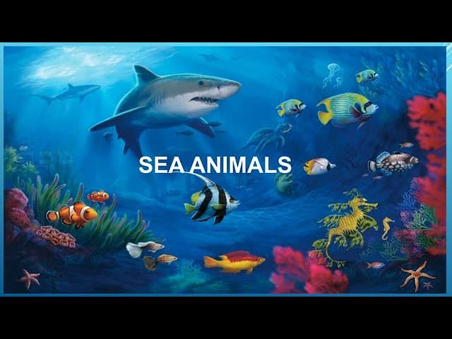 Sea Animals | Sea Animals Name | Sea Animals Name in English | Sea Animals for Kids