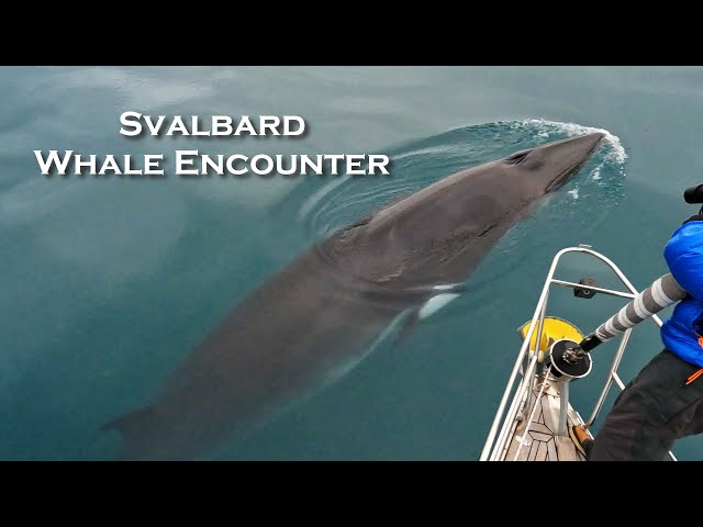 Sailing at the Top of the World - Svalbard: Ep 6
