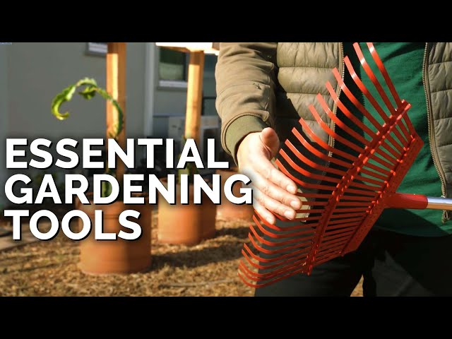12 Essential Gardening Tools for Beginner and Advanced Gardeners