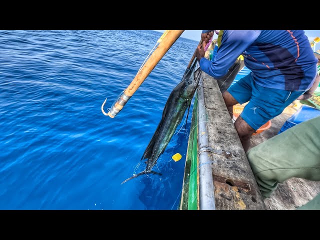 WOW!! இந்த மாதிரி எப்போவாது luck அடிச்சாதான் உண்டு | நன்றி கடவுளே🙏| Longline fishing EP: 5