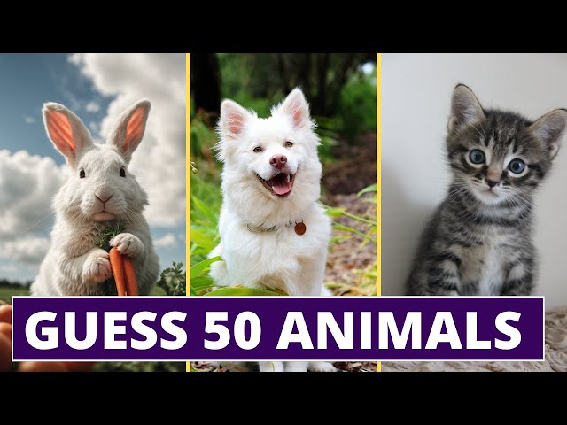 Guess 50 ANIMALS in 3 seconds | Populer Animals