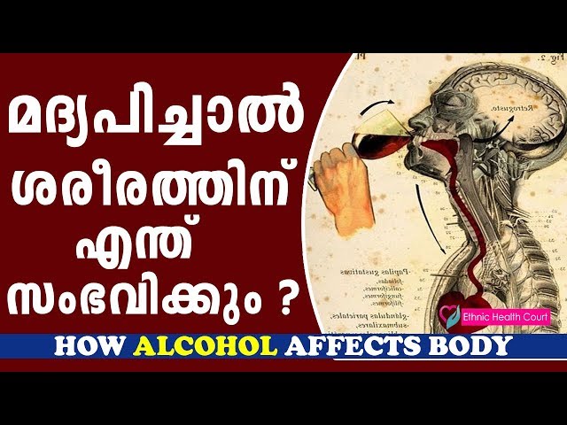 What Happens when you drink Alcohol | How Alcohol Affects Body | മദ്യപാനം| Ethnic Health Court