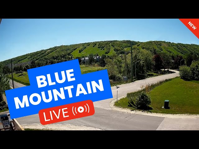 Blue Mountain - Live Mountain Cam