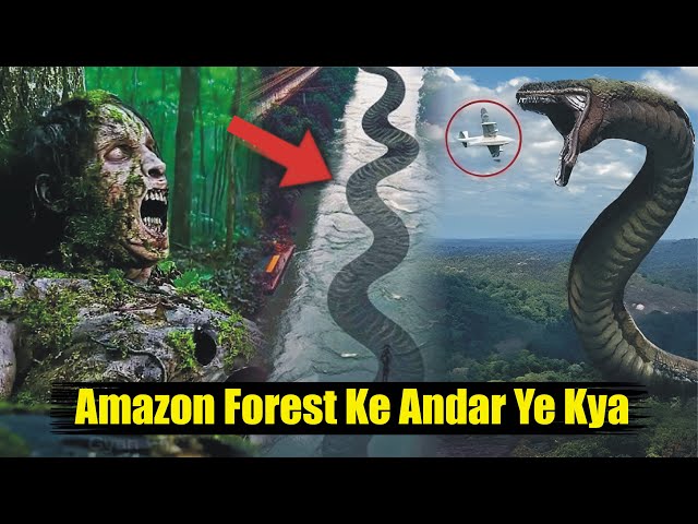 Amazon Forest Mystery | 5 Most Dangerous Animals in Amazon Forest