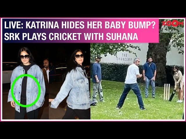LIVE: Katrina SPARKS pregnancy rumours again | Shah Rukh Khan enjoys playing cricket with Suhana
