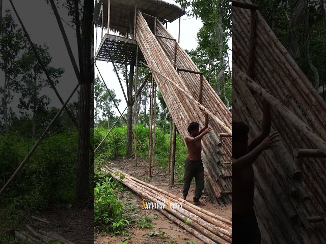building a tree house in the woods