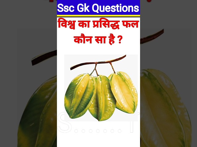 top 20gk questions answer 💥🏡/GK in Hindi 💥🇮🇳//gk shorts ✒️//ssc quiz 💥//#shorts #ytshorts#khansir