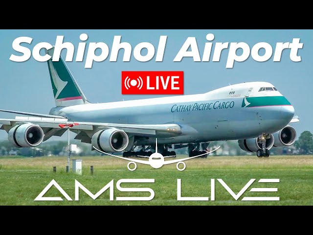 🔴 LIVE: Iconic Jumbo Jets & Epic Special Liveries at Schiphol Airport 🌞✈️ | June 27, 2024