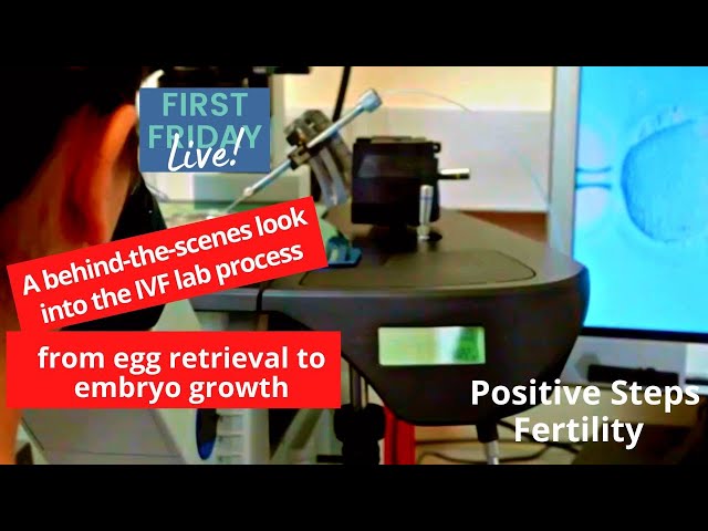 A Step-by-Step Look at the IVF Lab Process: from egg retrieval to embryo growth