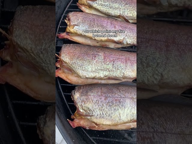 I Smoked Trout for my Coworkers