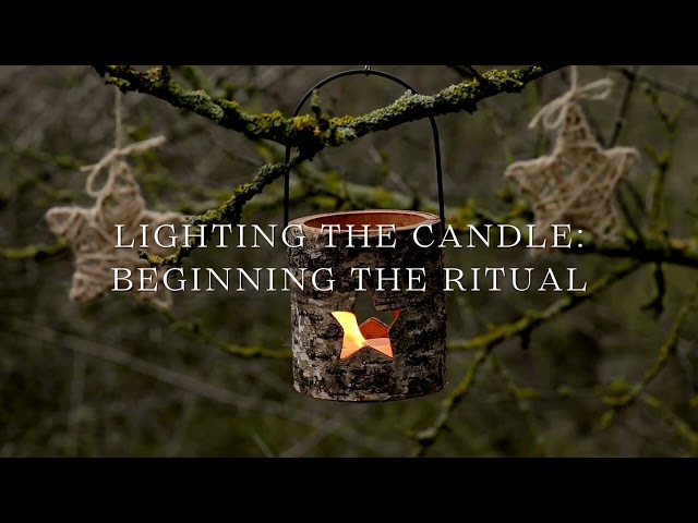 🌲 Episode 1: Introduction to Forest Witchcraft 🌲