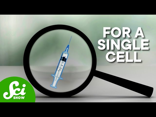 A Needle So Tiny It Injects Into A Single Cell