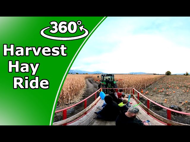 Full 360° Hay Ride [No Commentary] Through a Pumpkin Patch [ VR 360 ] --- Inspired Images