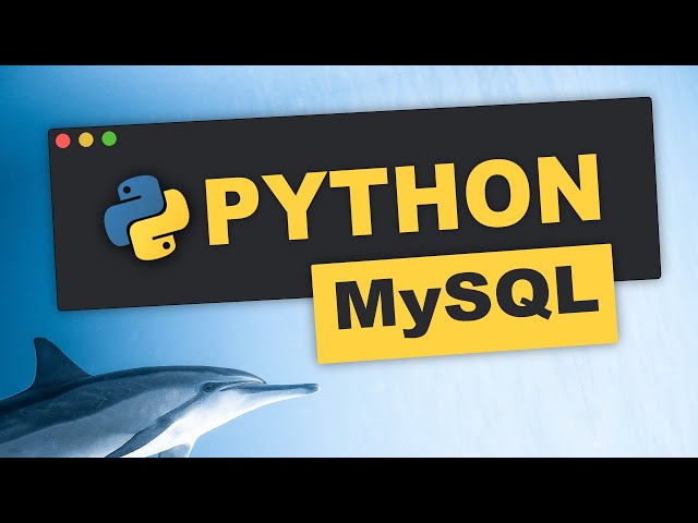 Python MySQL | Datenbanken erstellen | Tutorial (Deutsch) | für Anfängerinnen und Anfänger 🐬